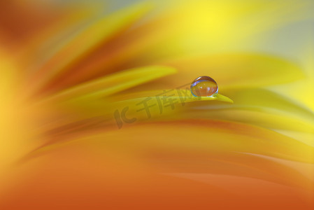 美丽的自然 Background.Floral 艺术设计.Abstract Macro Photography.Gerbera Daisy Flower.Pastel Flowers.Orange 背景。