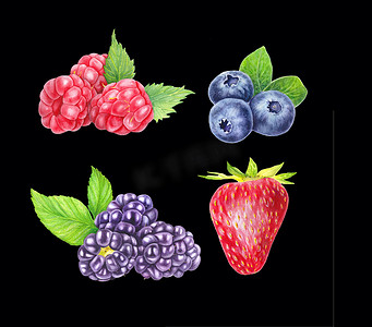 “黑色背景中孤立的一组野生浆果。蓝莓、黑莓、覆盆子和草莓。特写视图。手绘插图水彩插图。逼真的植物艺术。”
