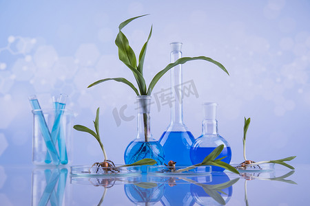 生物技术彩页摄影照片_生物技术、化学实验室玻璃器皿