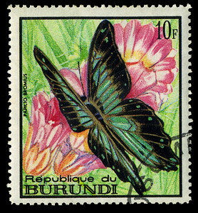 布隆迪-大约 1968 年：在布隆迪打印的邮票显示蝴蝶 Papilio bromius，大约 1968 年