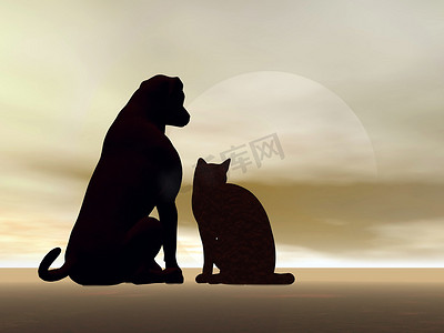 3d太阳摄影照片_猫狗友谊 — 3D渲染