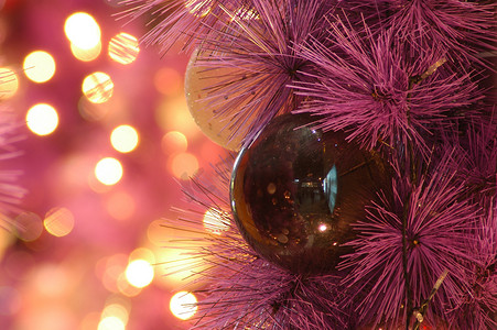 喜庆背景的松枝上挂着闪亮的圣诞红球