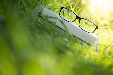 户外学习：在公园户外读书的眼镜，春天