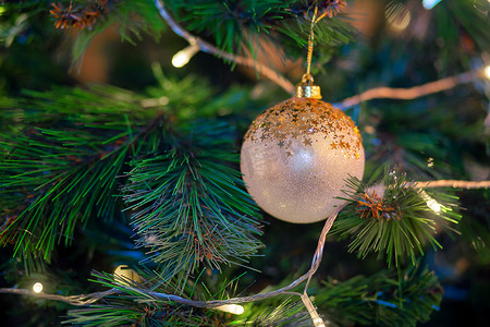 挂着明信片摄影照片_圣诞树的树枝上挂着金色的球。