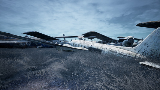 生锈和破损的飞机矗立在朦胧的蓝天映衬下的田野中。