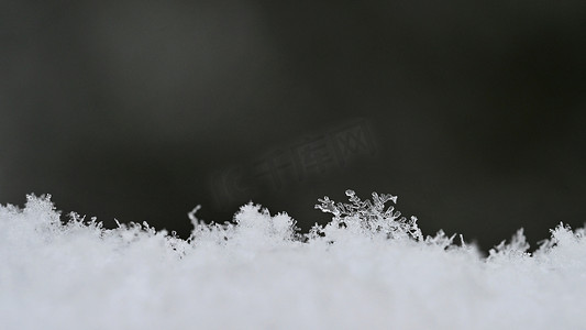 雪上的天然雪花，照片真实的雪花