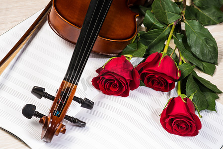 小提琴、玫瑰和音乐书籍
