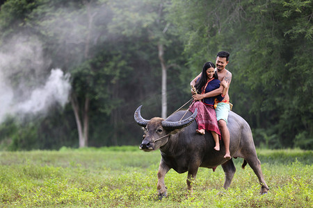 泰国农民夫妇在田野上骑着水牛度过家庭幸福时光，泰国