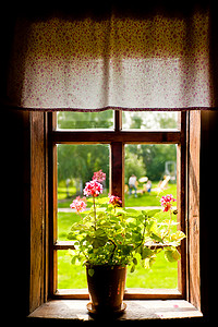 乡间别墅窗台上有一朵花的花瓶