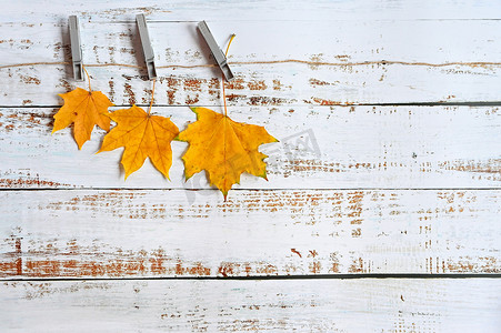 秋天木板背景摄影照片_与色的叶子的秋天背景在木板。