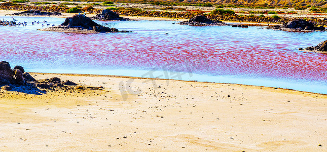 粉红湖摄影照片_西班牙粉红湖，异常现象，矿物对水的影响