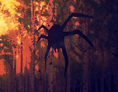 蜘蛛挂在傍晚的森林里