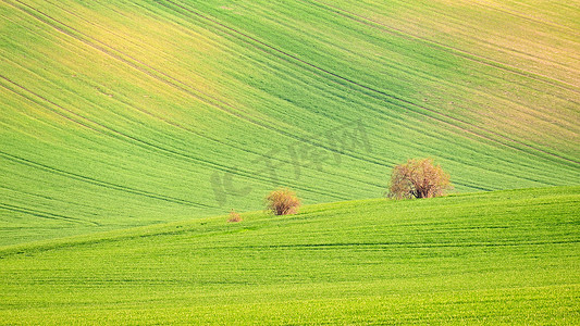 捷克共和国摩拉维亚托斯卡纳日落风景照片
