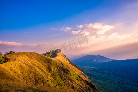 泰国清迈 Mon Chong 山上美丽的金色草甸景观。