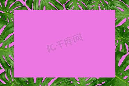 绿色怪物叶子和粉红色背景的框架。