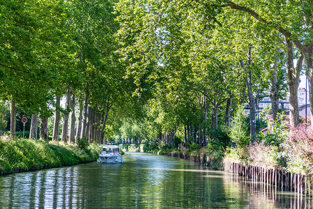 法郎南部图卢兹的 Canal du Midi 运河的夏季景观