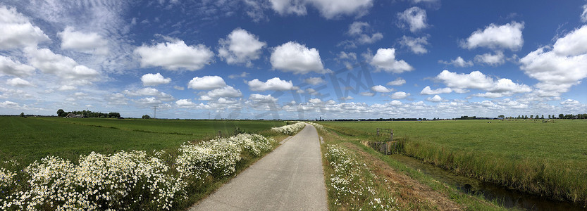 一条路摄影照片_从一条路穿过农田的全景