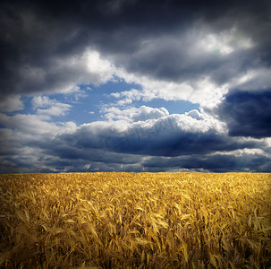 云洞摄影照片_在戏剧性的天空中，洞下有金色麦穗的田野