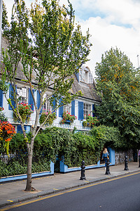 蓝色的英国房子，篱笆上覆盖着攀缘植物