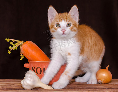 小红猫坐在桌子粗糙的木板上，旁边是一个橙色的汤碗和胡萝卜，上面是绿色的，洋葱头和大蒜头在深色背景中