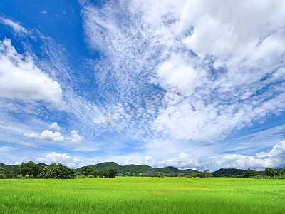 蓝天山前绿色稻田，广角白云