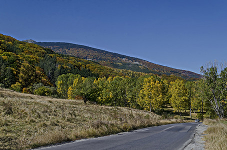 秋天落叶公路摄影照片_维托沙山道路、针叶林和落叶林的多彩秋季景观