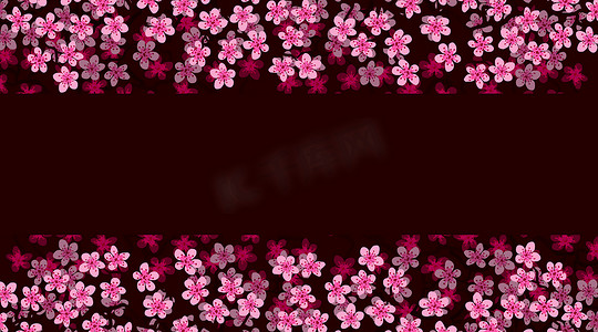 花卉问候横幅与美丽的粉红色花朵分支樱花。勃艮第颜色背景与复制空间文本在盛开的樱桃树枝上。