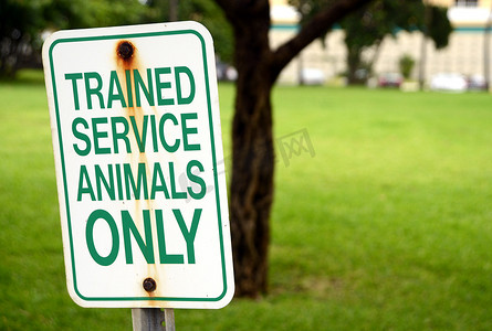 训练有素的服务性动物只在夏季在公园签名
