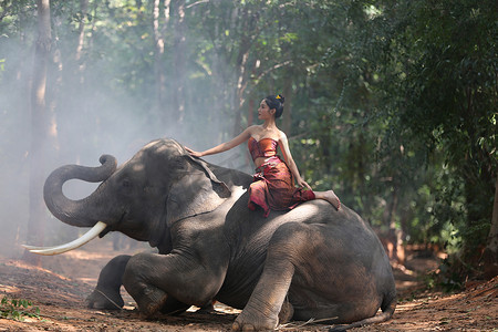 泰国苏林大象村，身穿本土文化服饰的美丽泰国女孩在乡村丛林中与大象共度时光