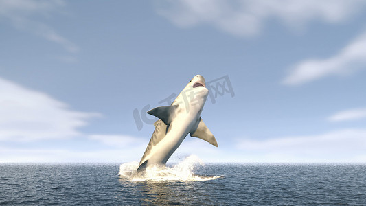 一条大虎鲨从水中跃出，张开大嘴，满是锋利危险的牙齿。 