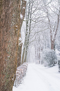 德国亚琛 Lousberg 的雪路