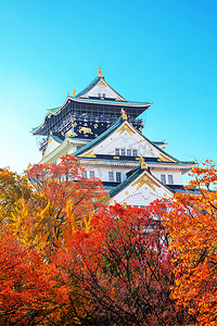 秋天日本摄影照片_有秋叶的大阪市大阪城