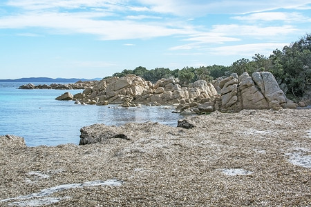 翡翠海岸冬季海滩上的绿水和干海草