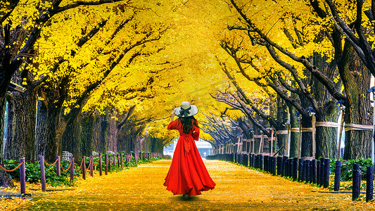 秋天，美丽的女孩走在一排黄色的银杏树旁。