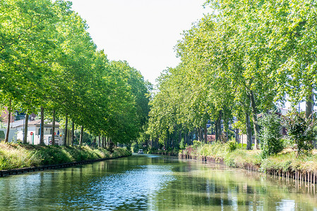 法郎南部图卢兹的 Canal du Midi 运河的夏季景观