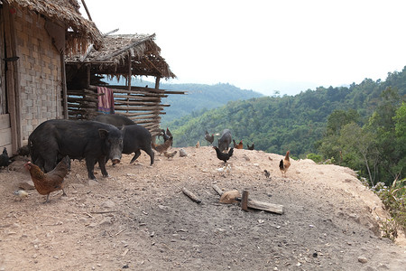 老挝琅南塔 12/24/2011 琅南塔是老挝西北部偏远的传统部落地区