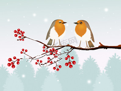 可爱风景摄影照片_冬天风景中的几只知更鸟
