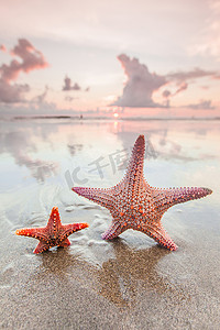 日落时在海滩上的两只海星