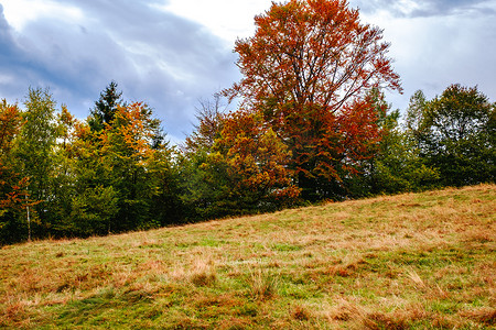 罗马尼亚喀尔巴阡山脉色彩缤纷的秋季景观