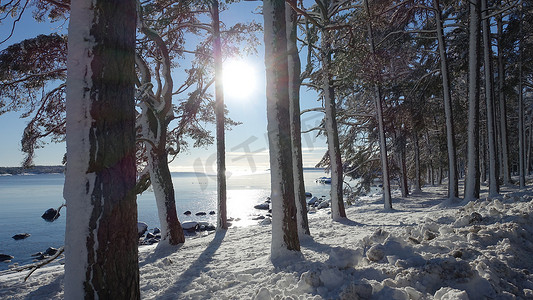 斯堪的纳维亚海边阳光明媚的冬日