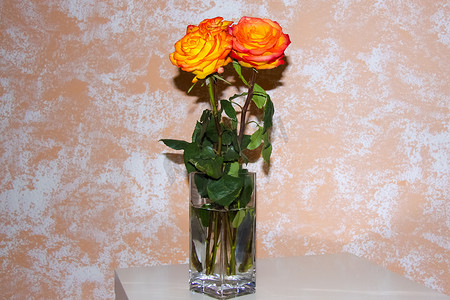 美插摄影照片_桌上花瓶里插着鲜亮的玫瑰。