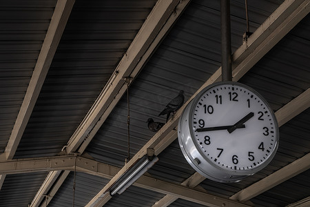 时钟在屋顶下连接杆子，美丽的大白色时钟或带有线路编号的手表悬挂在火车站屋顶下。