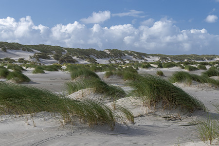 林海雪原摄影照片_泰尔谢林海滩风中的马拉姆草