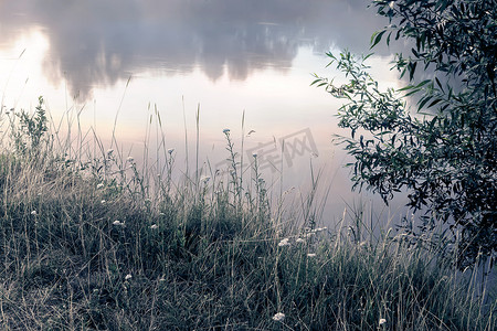 草地湖水摄影照片_河岸上的草地和鲜花。
