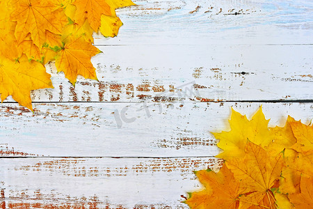 与色的叶子的秋天背景在木板。