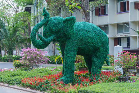 绿色人造大象形植物