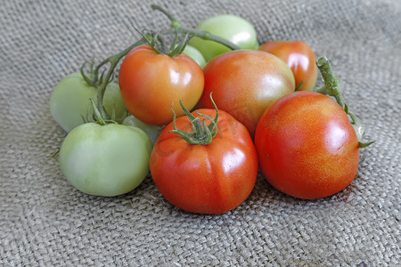 亚麻织物摄影照片_亚麻织物上的成熟和绿色西红柿