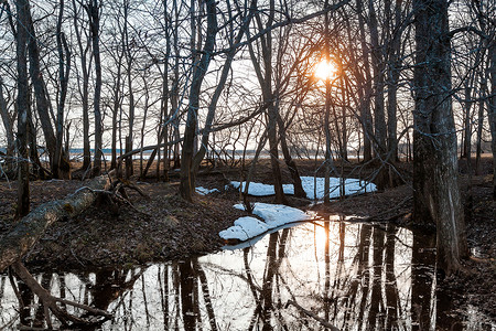 解冻时河流泛滥平原上的树木和冻结的水被淹没。