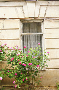 旧窗口