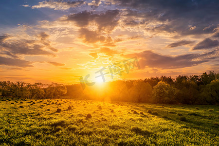 中柳树摄影照片_绿草、柳树和多云天空的春天田野中的日落或日出。